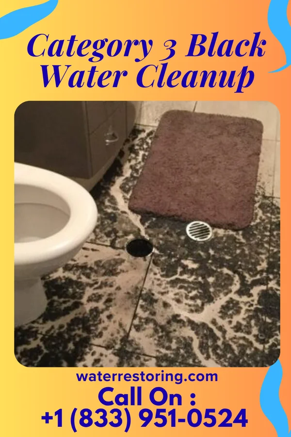 Category 3 Black Water Cleanup in Ponshewaing, MI