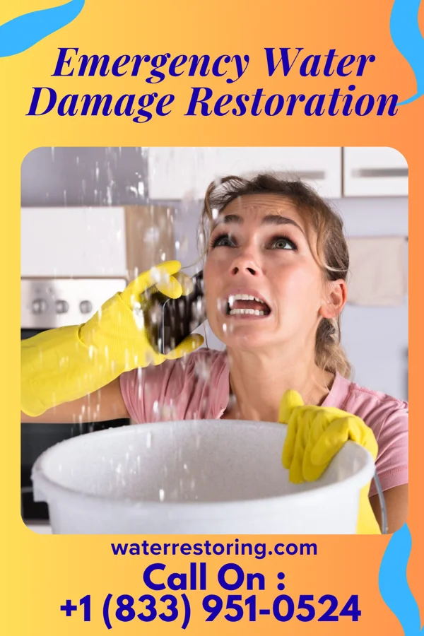 Emergency Water Damage Restoration in Ponshewaing, MI
